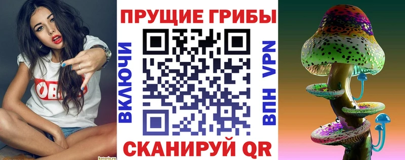 Псилоцибиновые грибы GOLDEN TEACHER Белебей